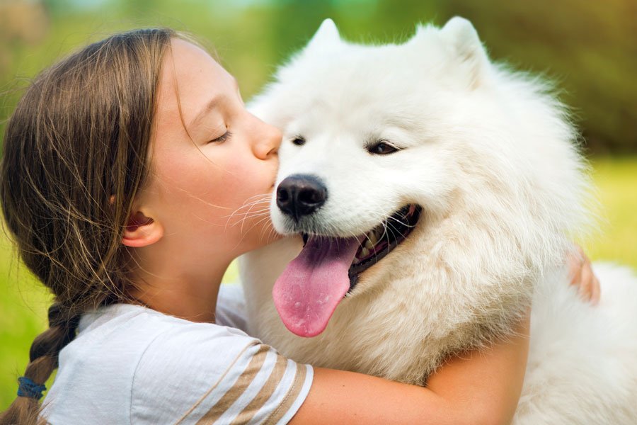 Can Pets Get Norovirus? Understanding Cross-Species Transmission
