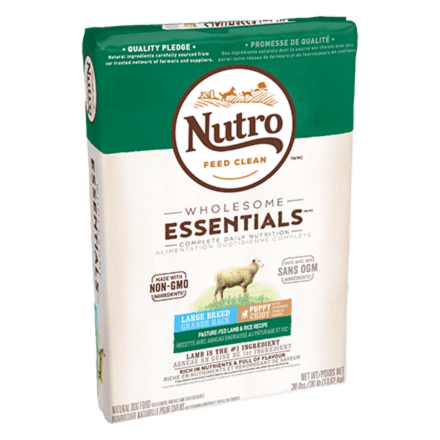 Nutro Dog Food: A Complete Analysis of Quality, Ingredients, and Value