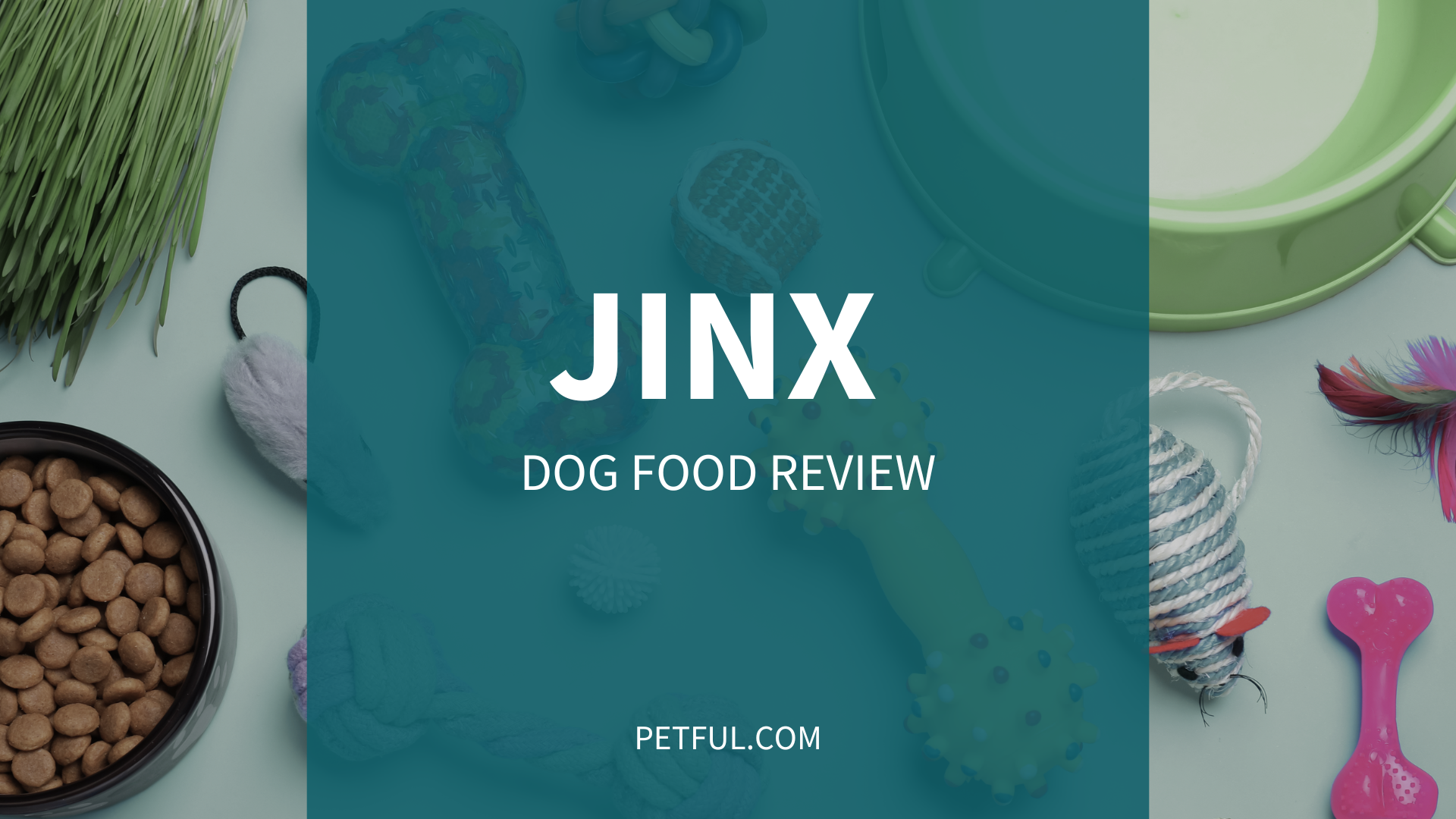 Jinx Dog Food: A Comprehensive Review of Quality and Nutrition