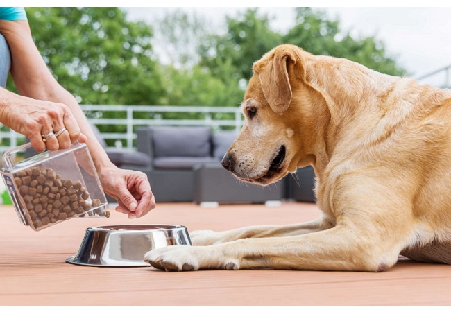 Dog Food Measurements: Converting Pounds to Cups