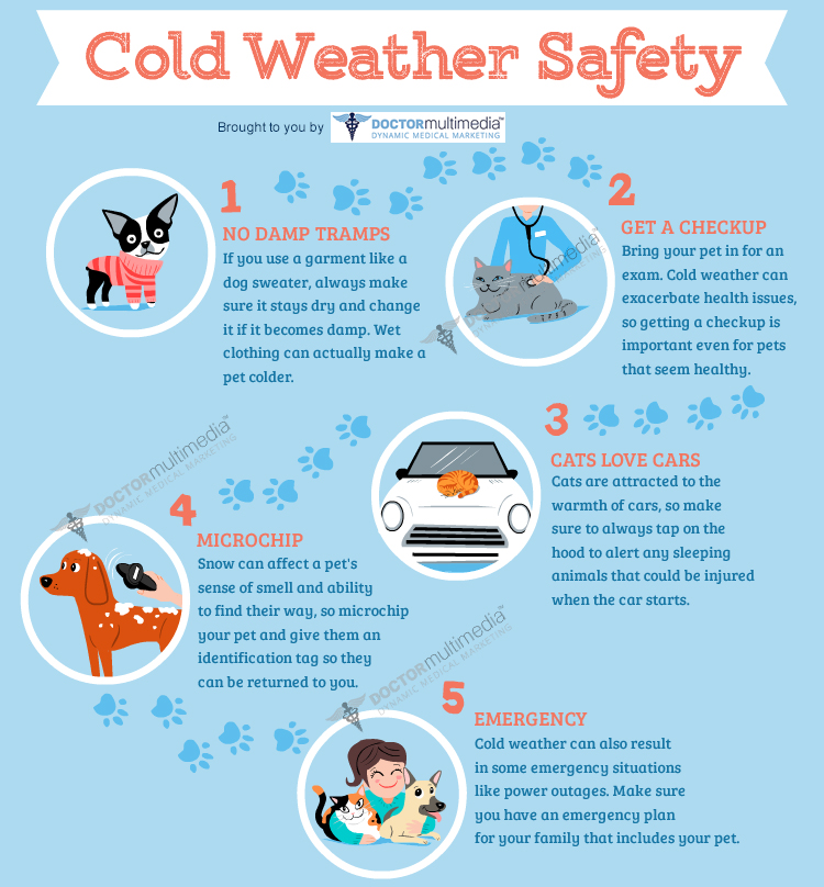 Keeping Pets Cool During Power Outages: Essential Safety Strategies