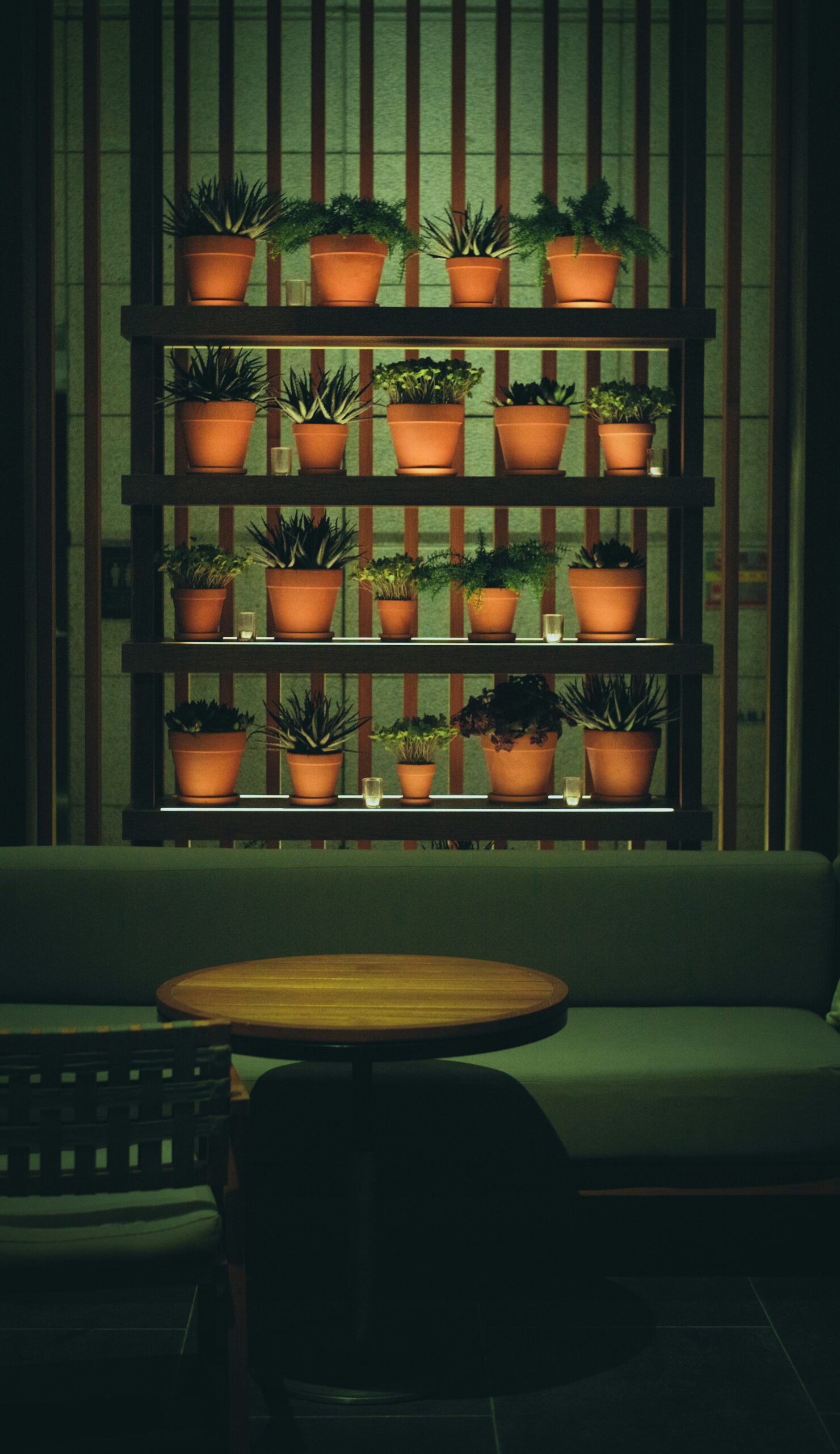 Elevate Your Space: Designing Stunning Container Succulents with Architectural Planters