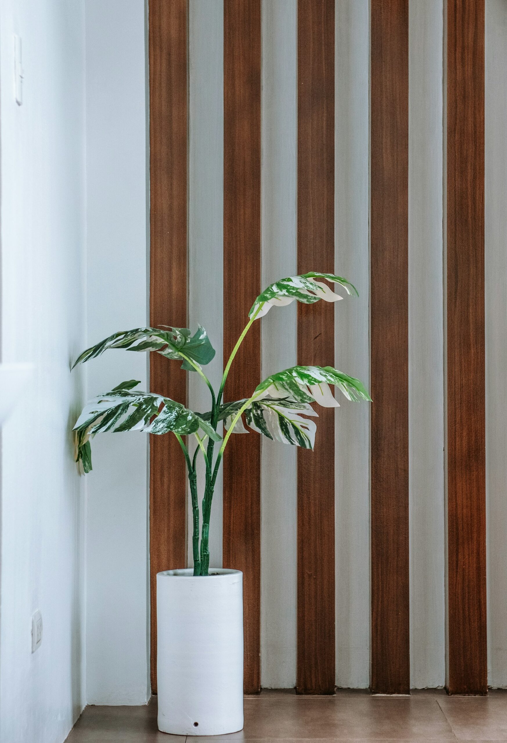 Modern Rustic Indoor Planter Styling: Inspiration and Practical Guidance for Every Home