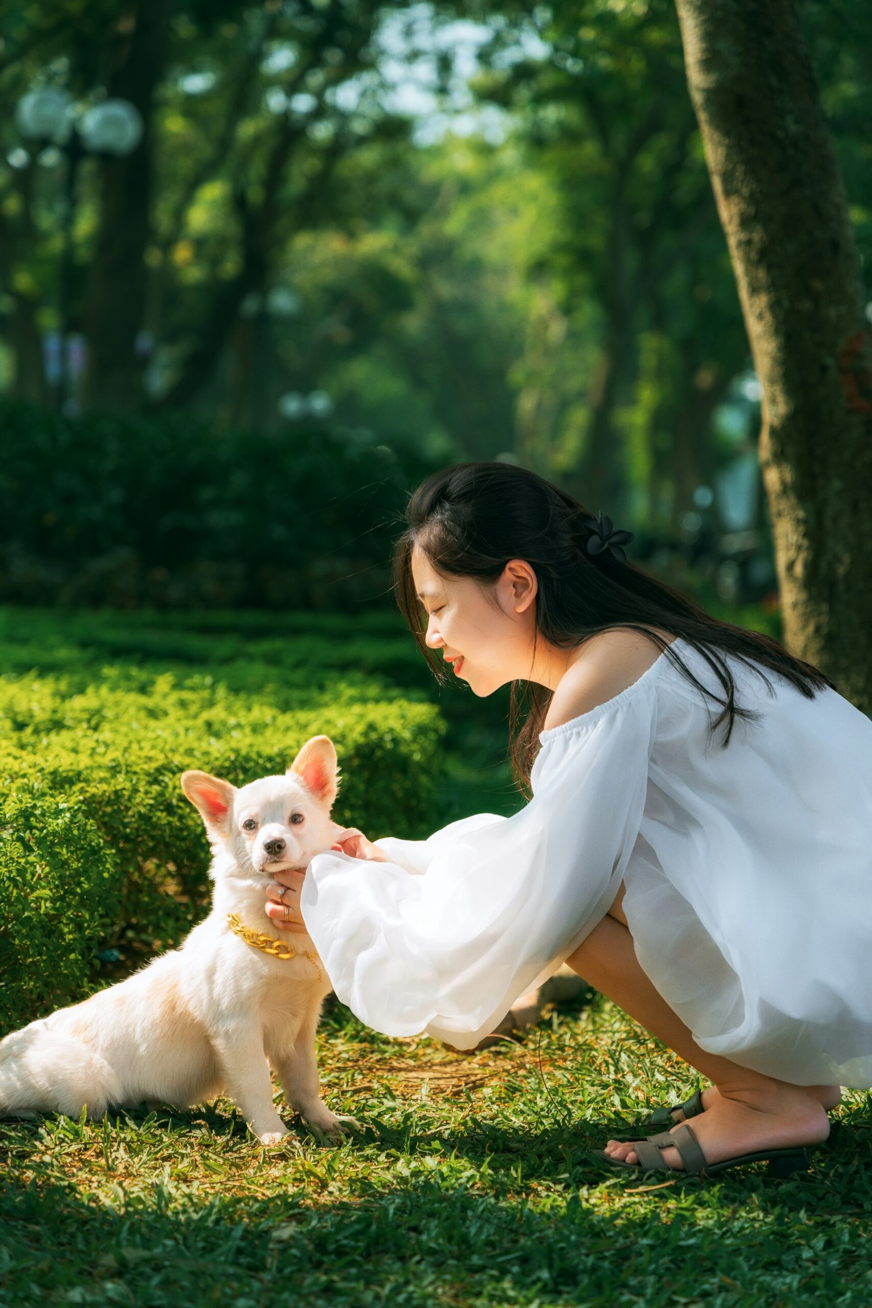Eco-Conscious Pet Care: Transforming Your Lifestyle for a Greener Future
