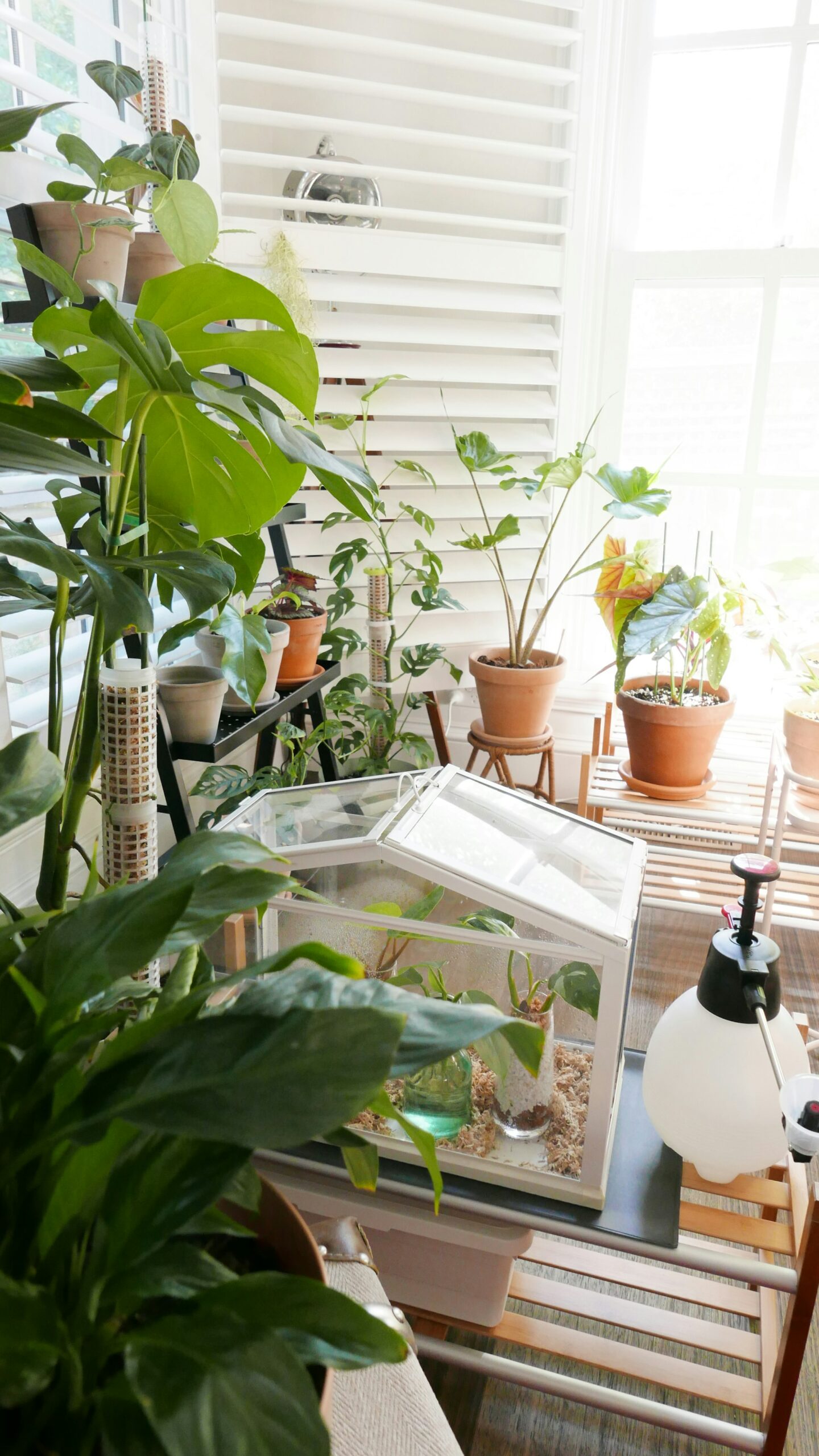 Transform Your Home: Practical Eco-Friendly Habits for Sustainable Living