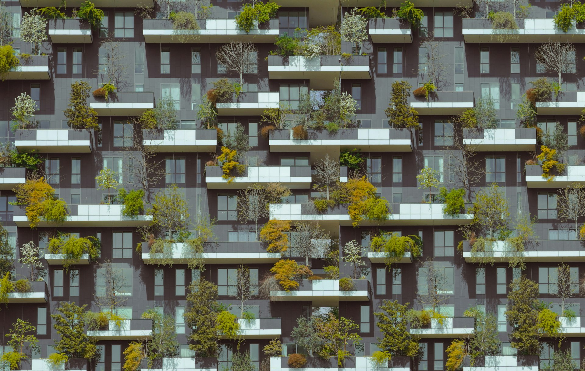 Climate Adaptive Architecture: Shaping Resilient and Sustainable Housing for the Future